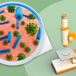 Infect-Block Supplement