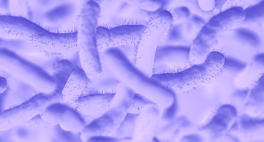 bacteria soma of the vedas